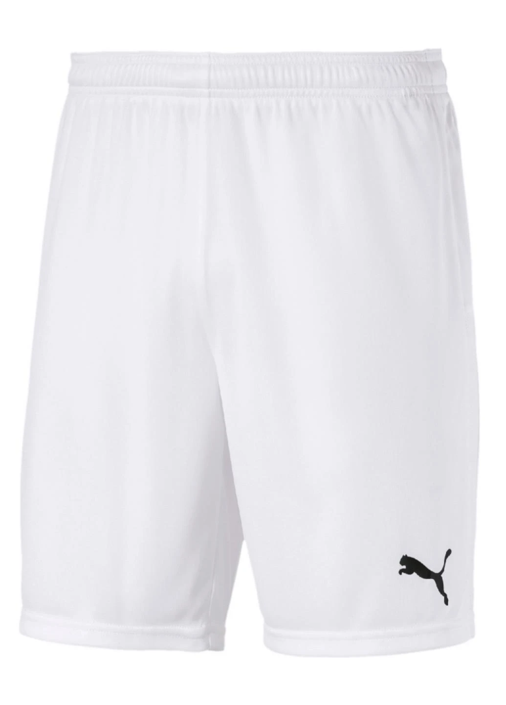 Шорты 704262-04 Puma teamGOAL 23 knit Shorts (328031940)