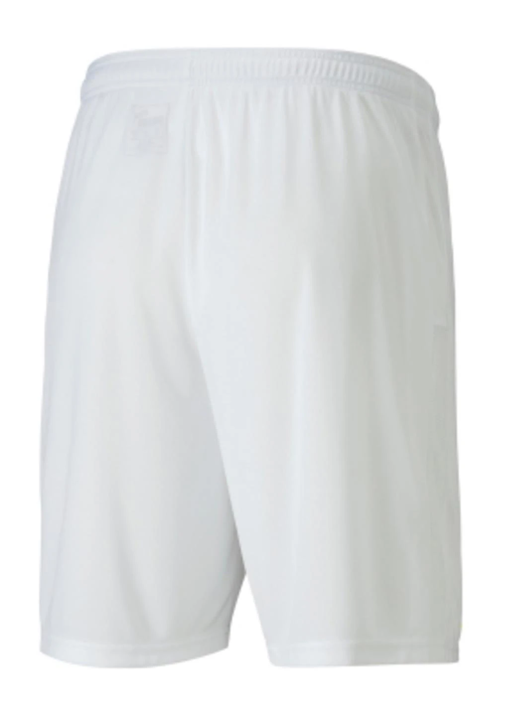 Шорты 704262-04 Puma teamGOAL 23 knit Shorts (328031940)