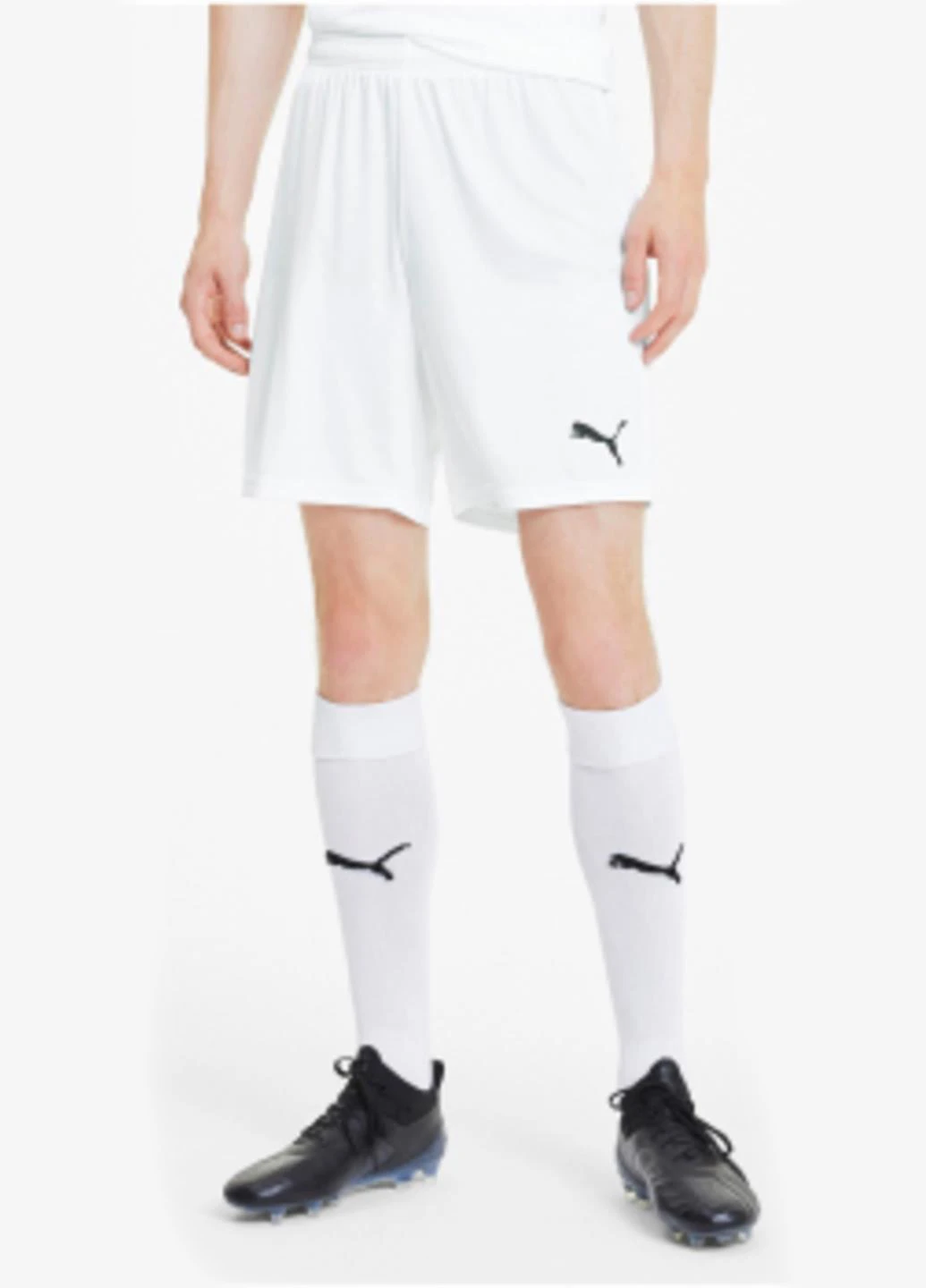 Шорты 704262-04 Puma teamGOAL 23 knit Shorts (328031940)