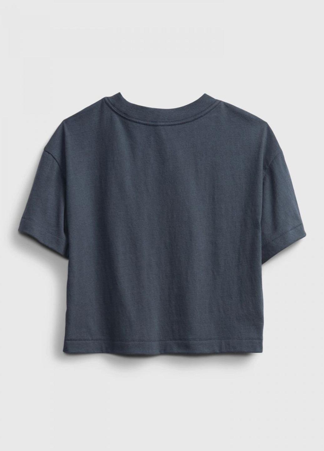 Сіро-синя літня футболка Gap
