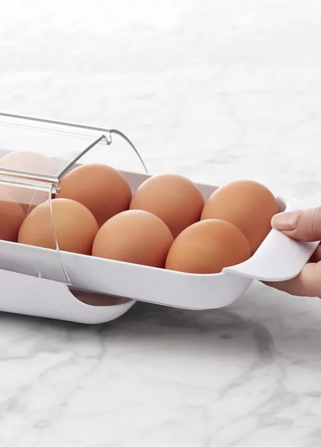 Лоток для хранения яиц в холодильнике на 12 шт. Forus (279349008)