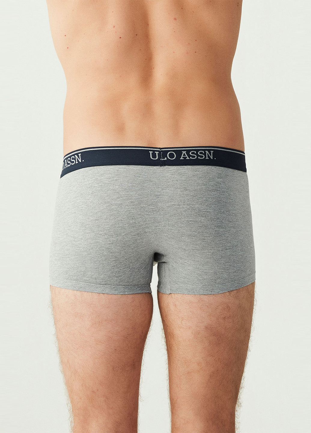 Трусы (3 шт.) U.S. Polo Assn. (251794009)