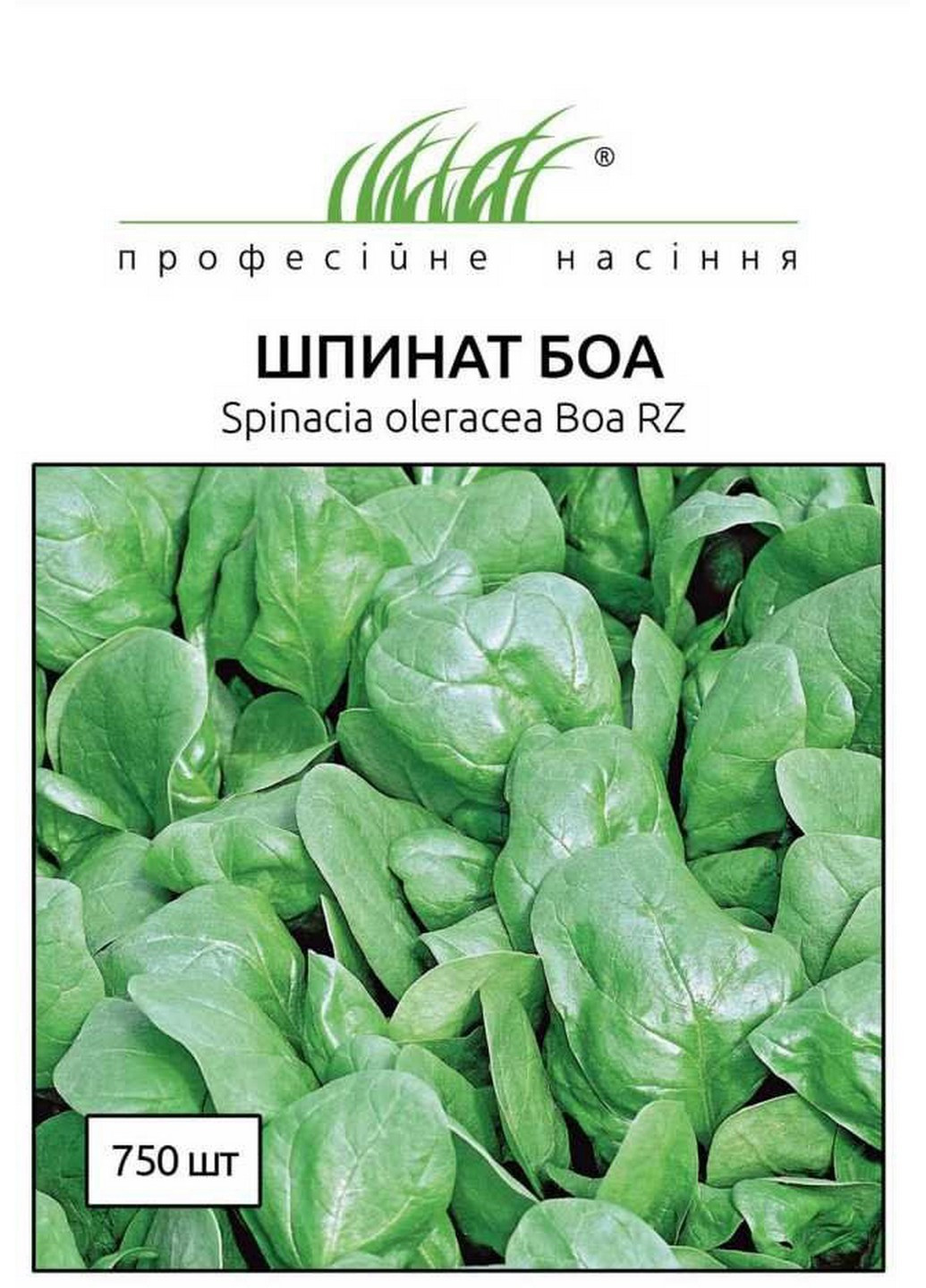 Семена Шпинат Боа 10 г Професійне насіння (215963566)