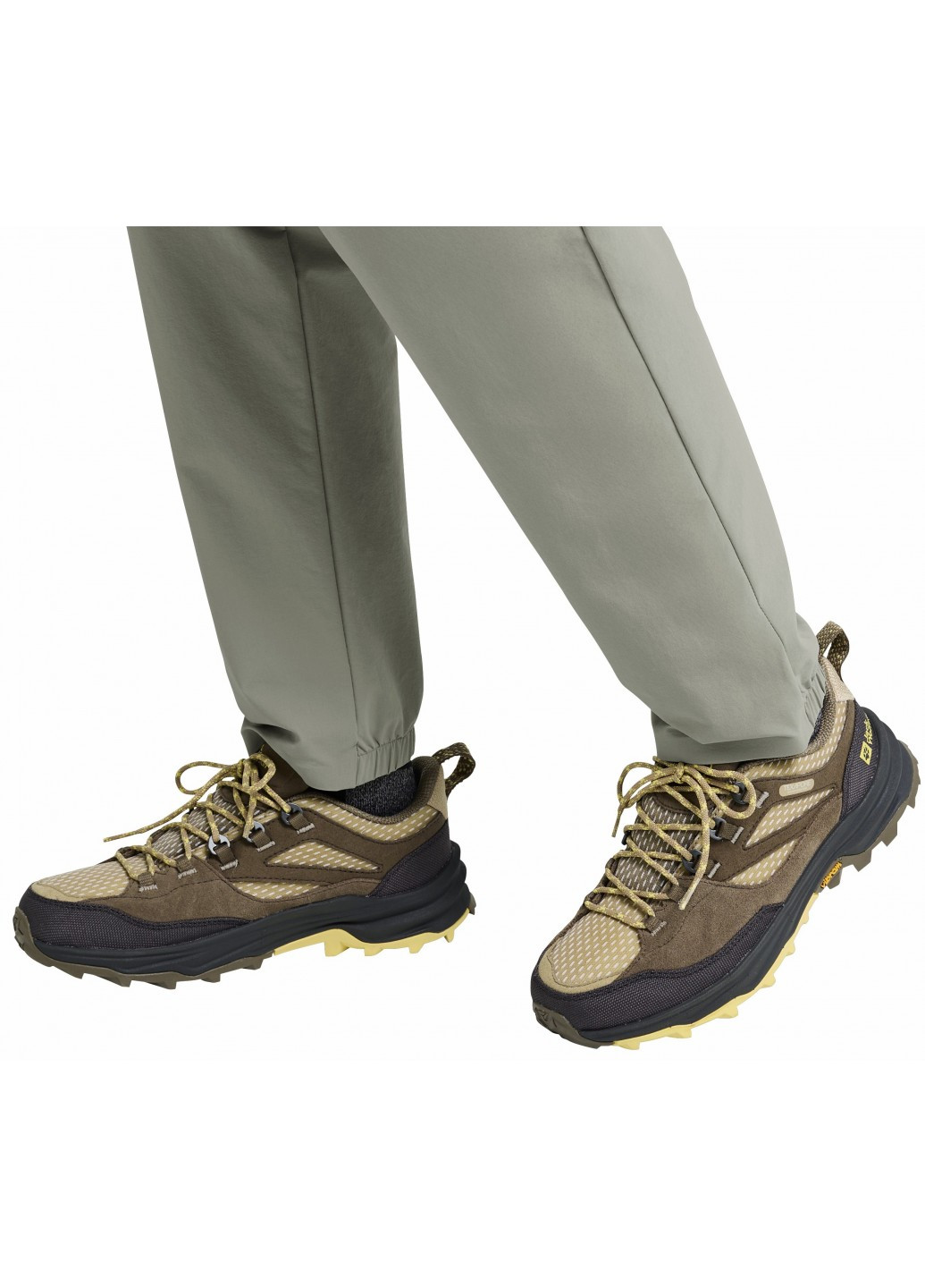 Кросівки Jack Wolfskin CYROX TEXAPORE LOW W коричневі демісезони (368322344)