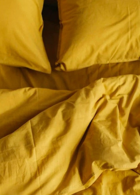 Комплект білизни з вареної бавовни Curry (євро-максі) Leglo (253942713)