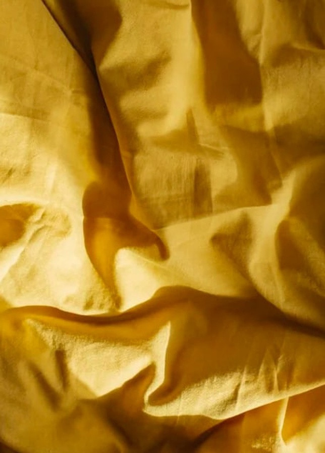 Комплект білизни з вареної бавовни Curry (євро-максі) Leglo (253942713)