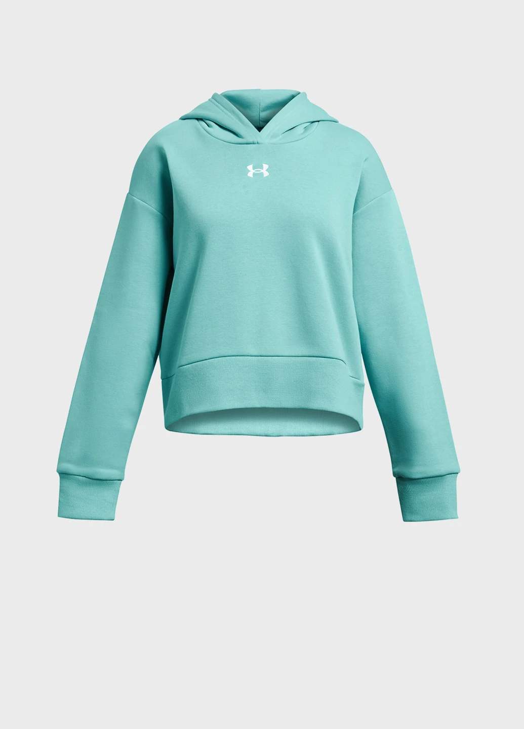 Худи Under Armour (293733282)