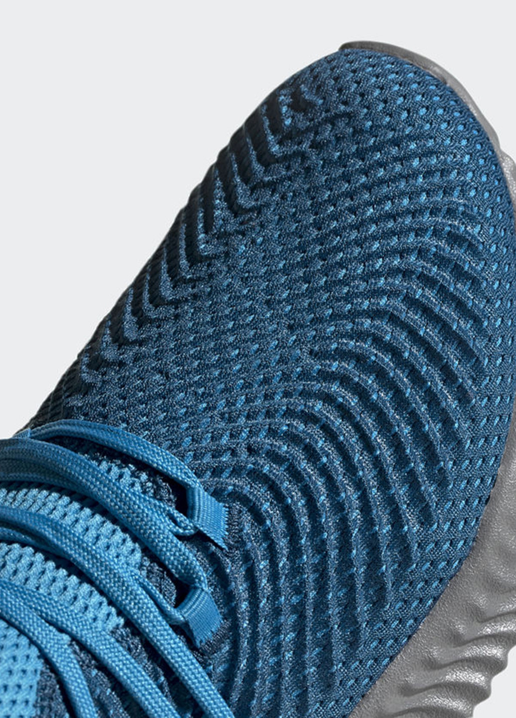 Синие всесезонные кроссовки adidas Alphabounce
