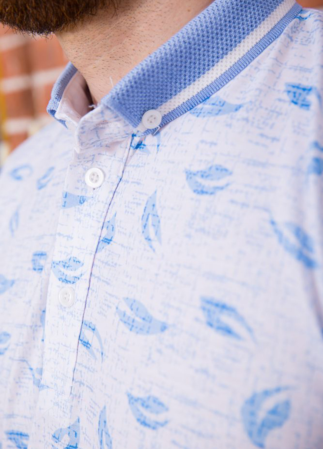 Голубой футболка-поло для мужчин Ager с рисунком
