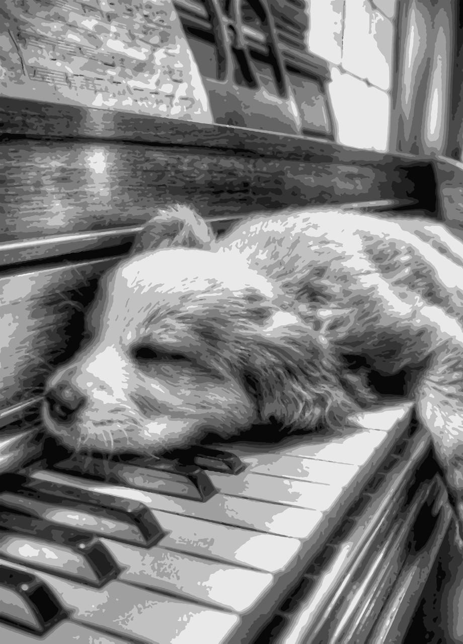 Картин по номерам "Наигрался" 50*60 см No Brand (254583925)