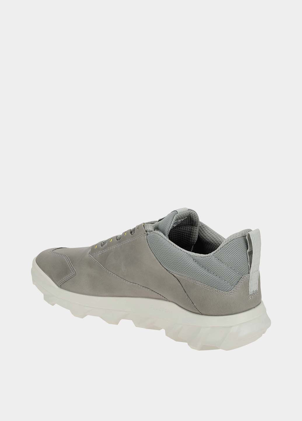 Серые демисезонные кроссовки Ecco
