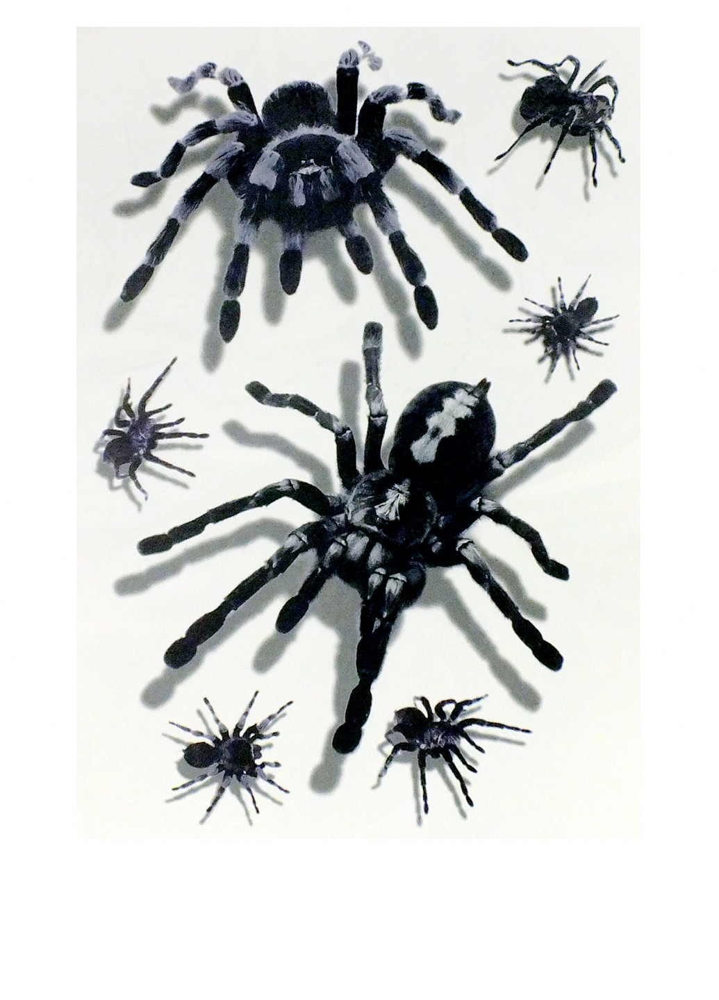 Тату 3D Павуки, 21х15 см Seta Decor (26588109)