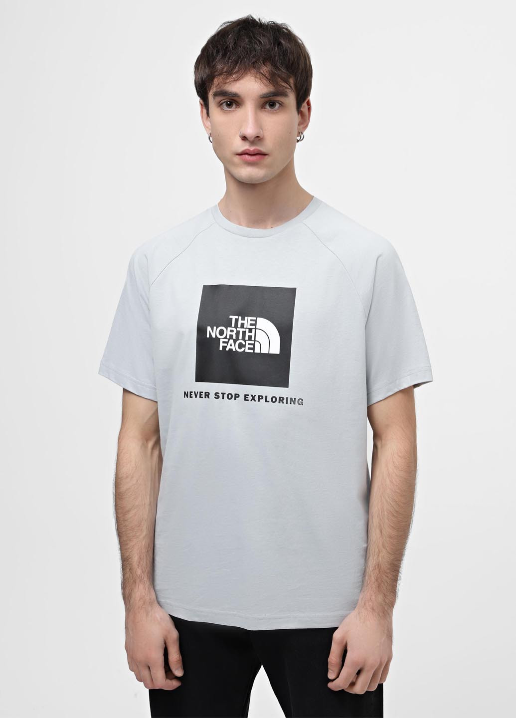 Серая футболка The North Face