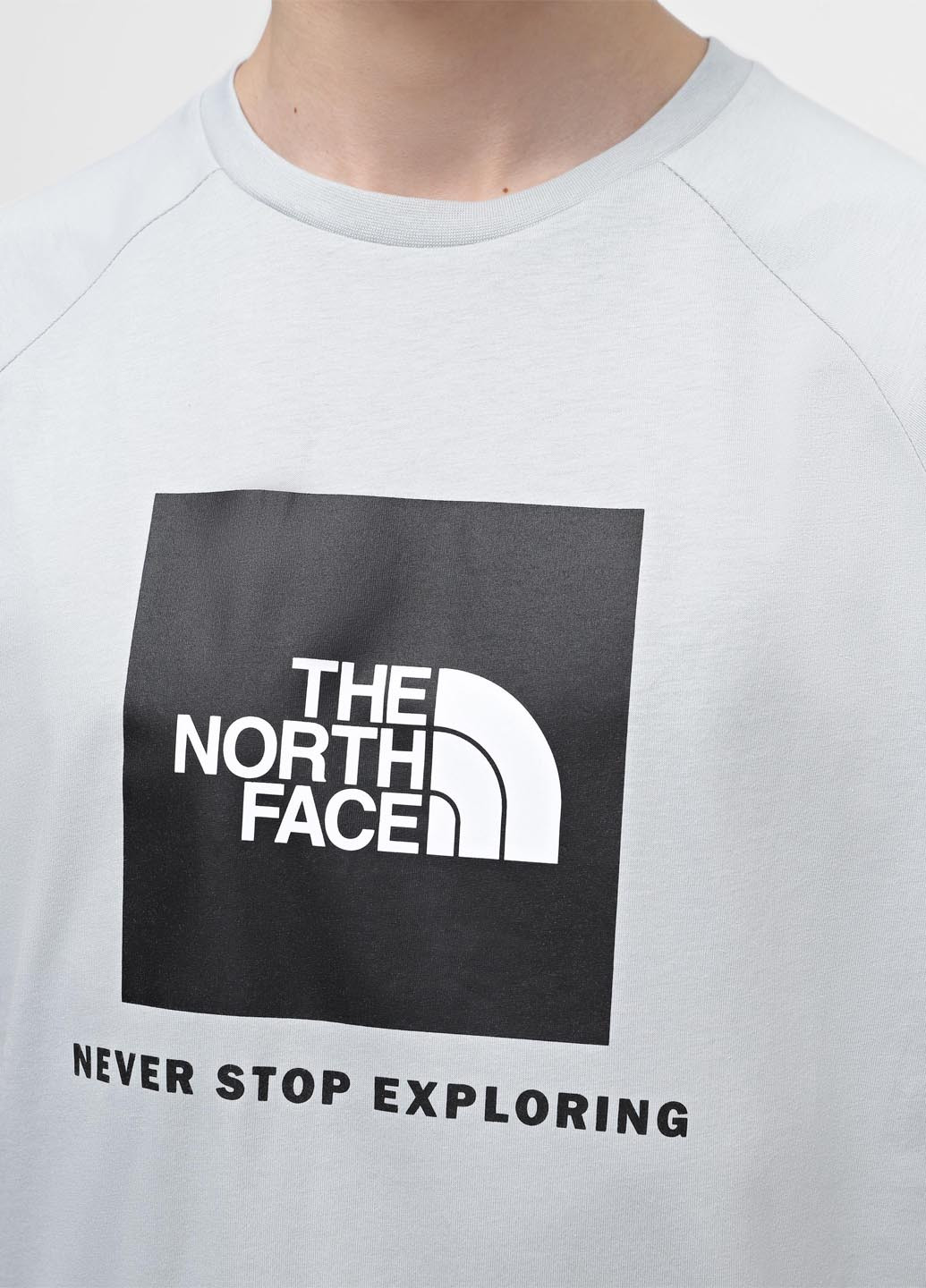 Серая футболка The North Face