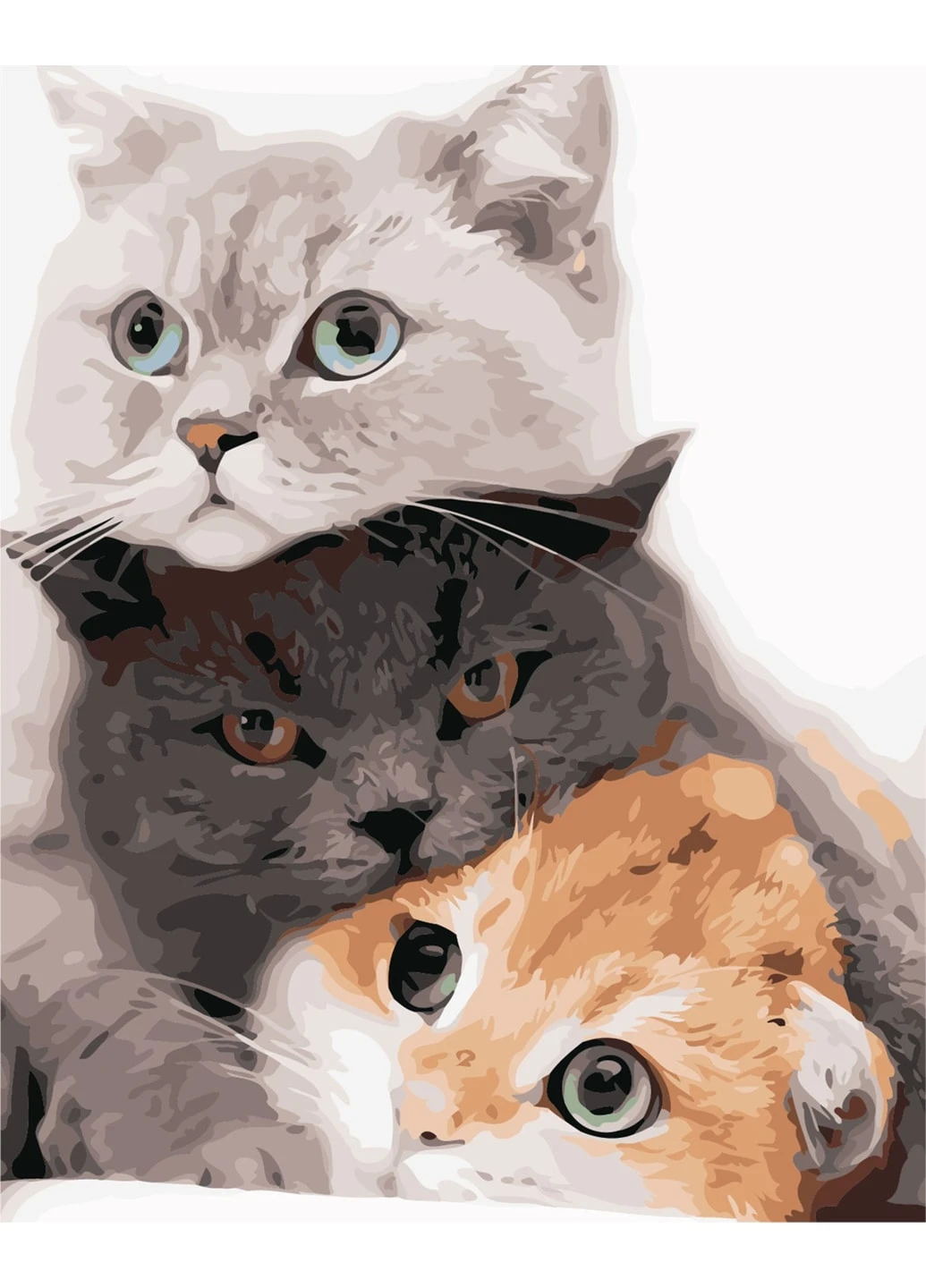 Картина по номерам "Котяче тріо" 50х40 см ArtStory (250449338)
