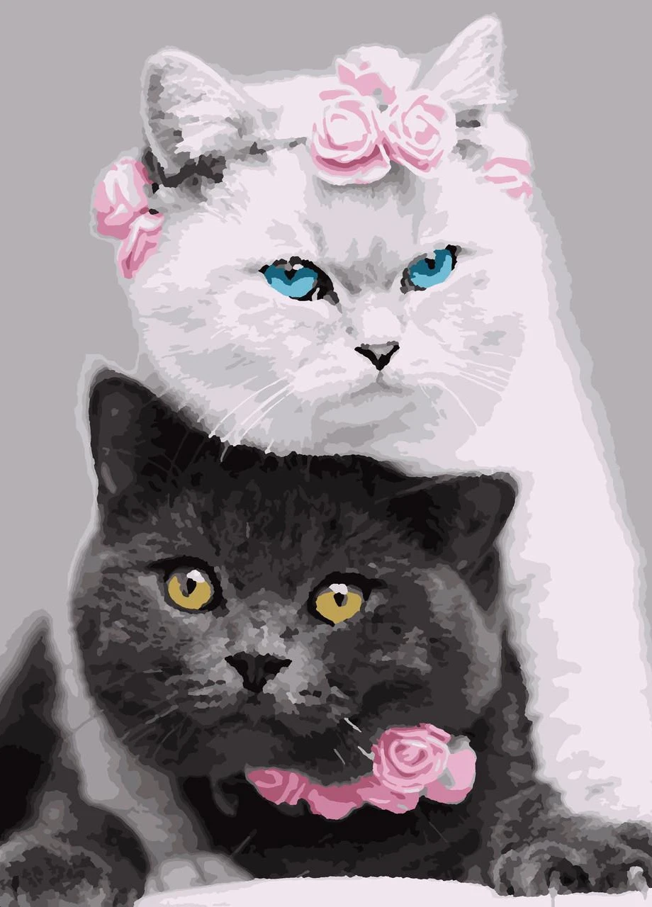 Картин по номерам "Котики" 50*60см No Brand (254583973)