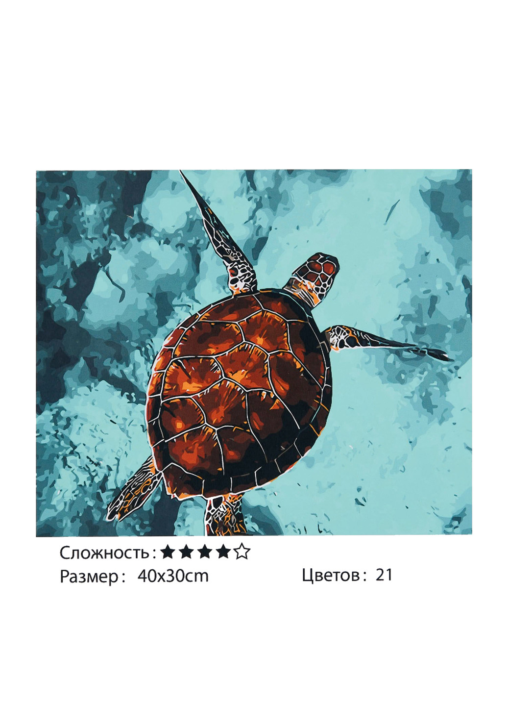 Картина по номерам Черепаха 40 х 30 см Kimi (252102250)