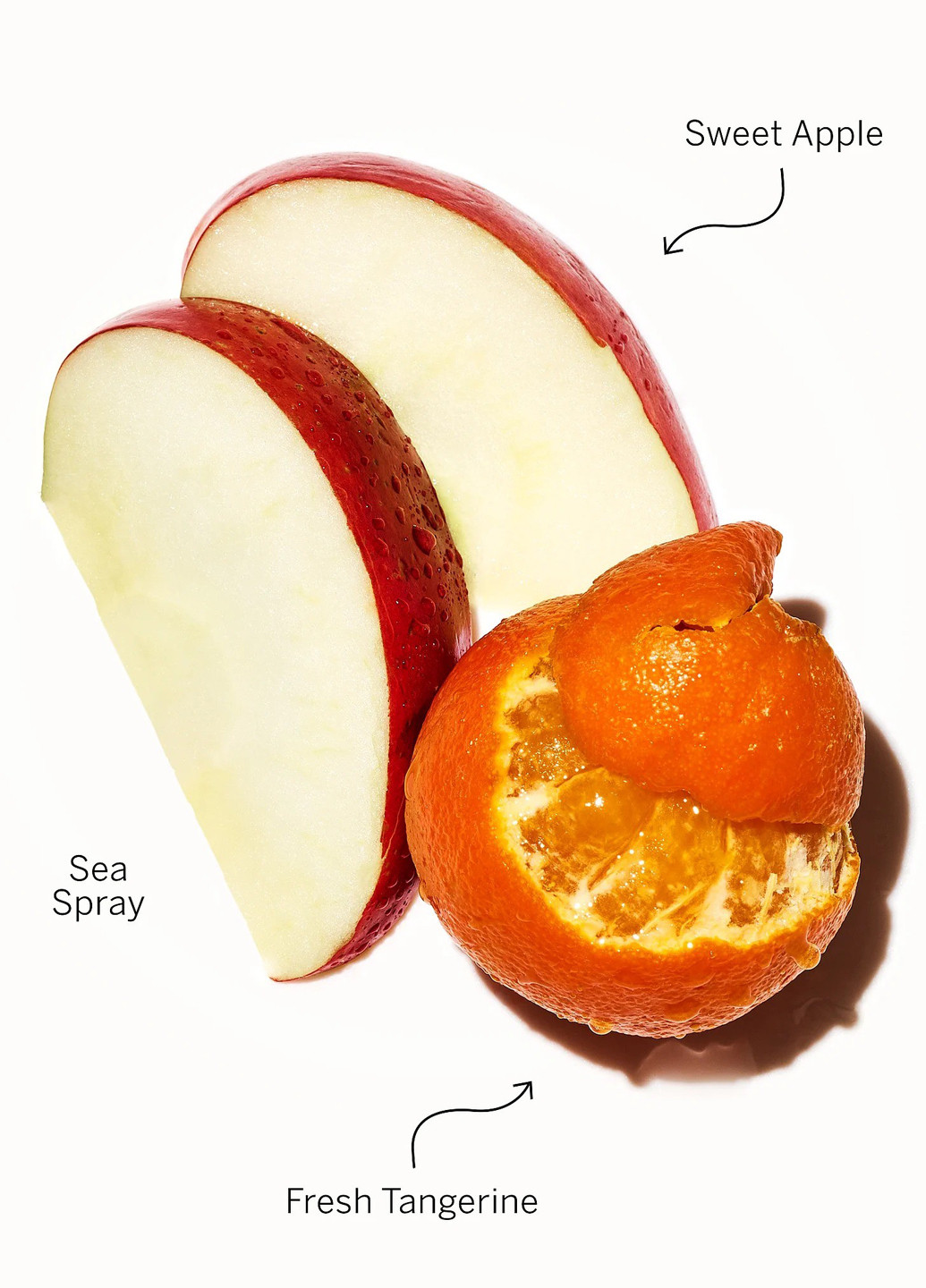 Набір Fresh & Clean (міст 250 мл, лосьйон 236 мл) Victoria's Secret (367035416)