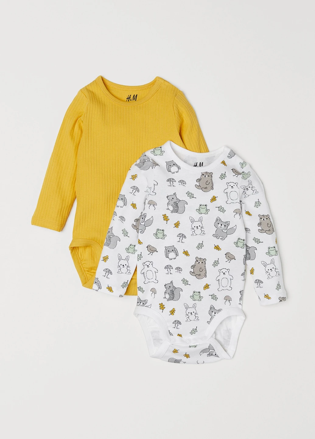 Боди (2 шт.) H&M (133209162)