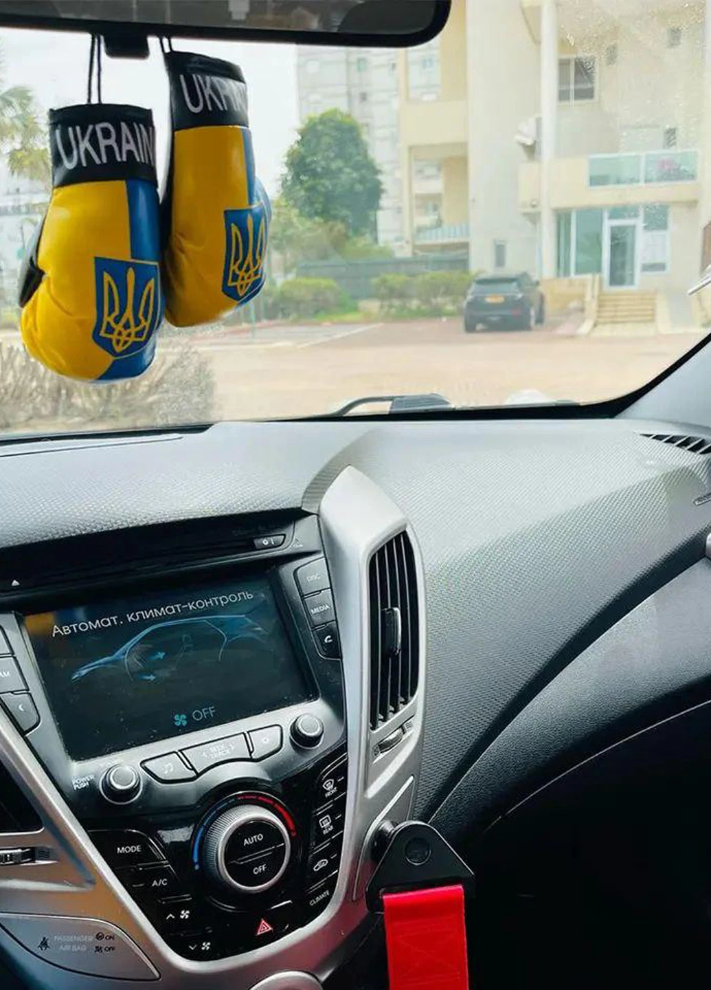 Боксерські перчатки в авто, 10х6х12 см No Brand (302679780)