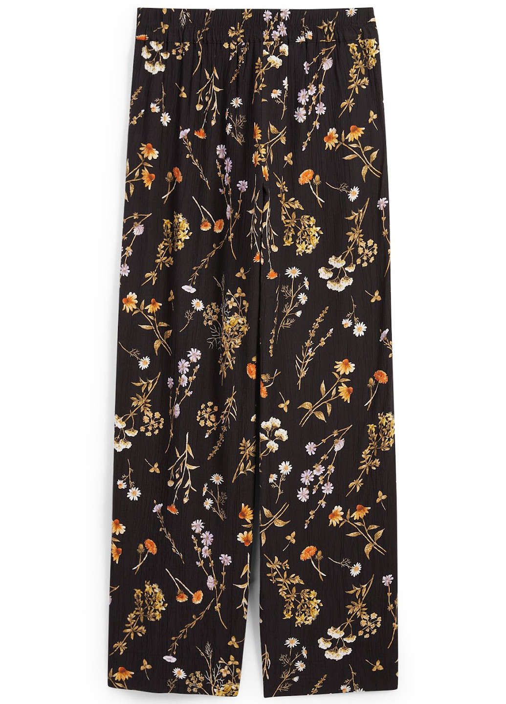 Брюки C&A (323037404)