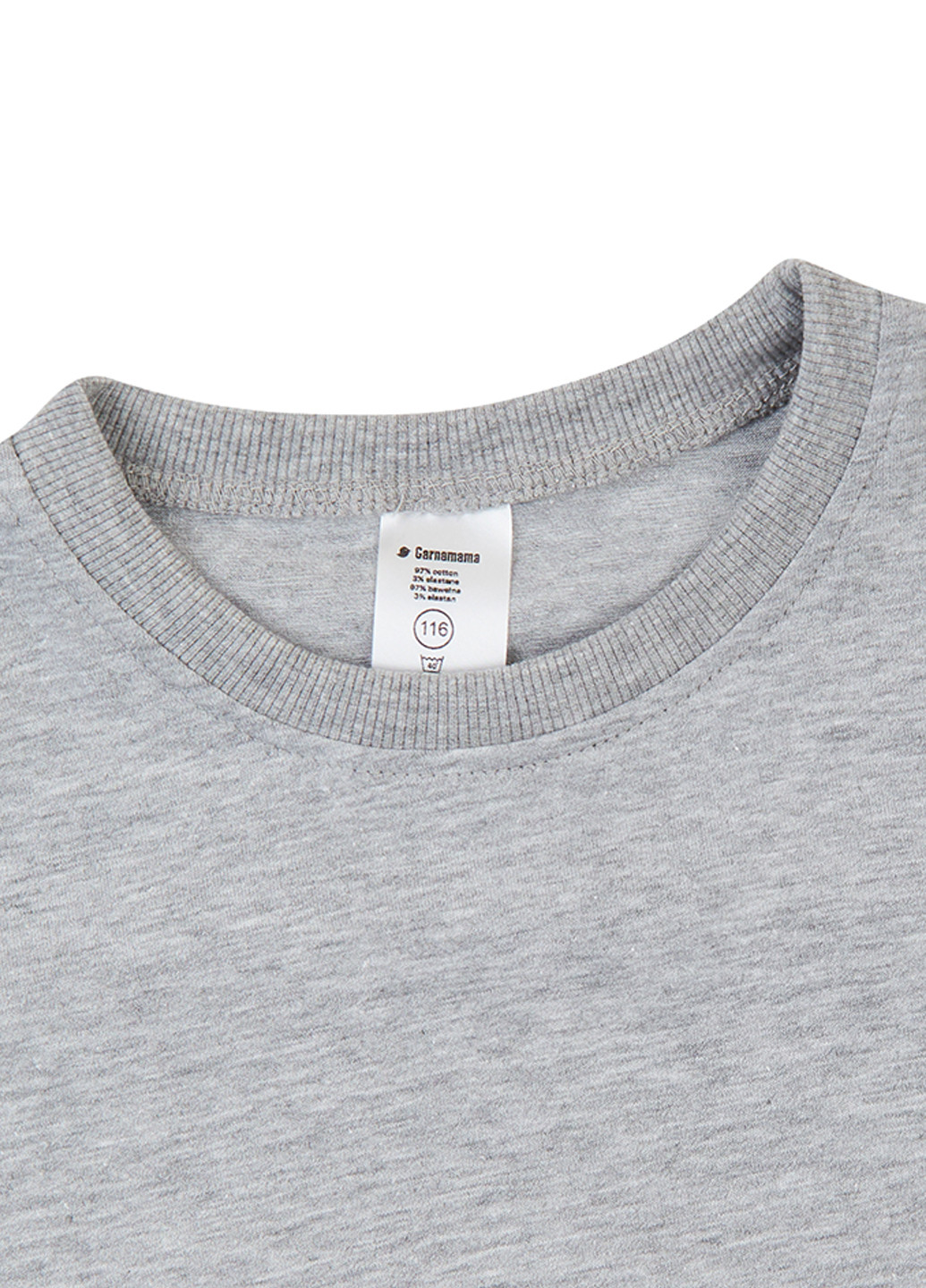 Сіра демісезонна футболка Garnamama