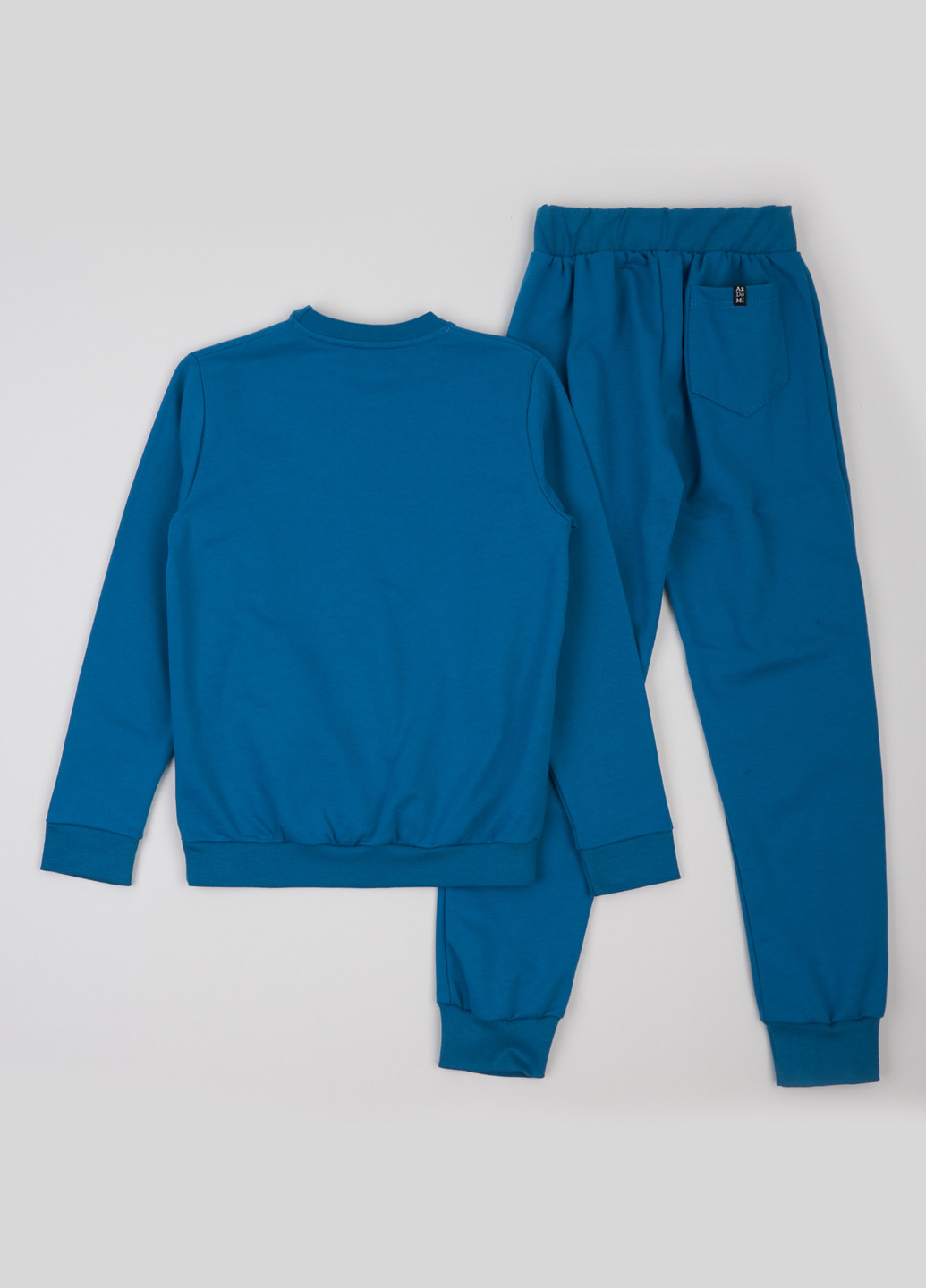 Костюм (світшот, штани) ArDoMi (316877949)