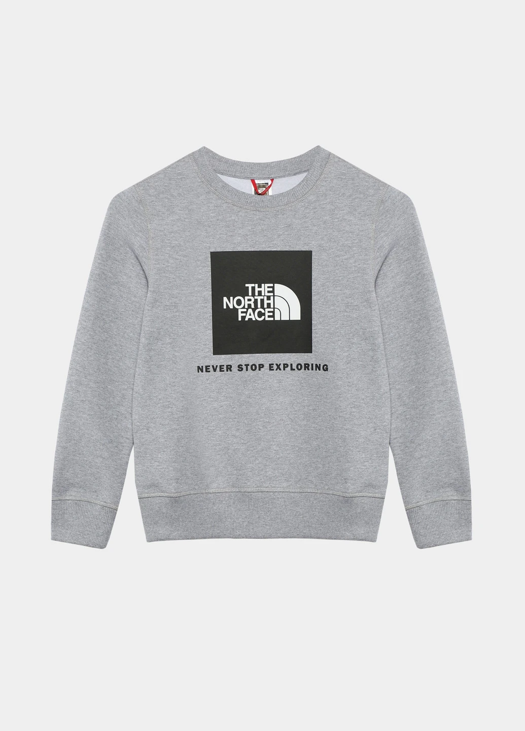 Серый свитшот The North Face логотип без декора (327373787)