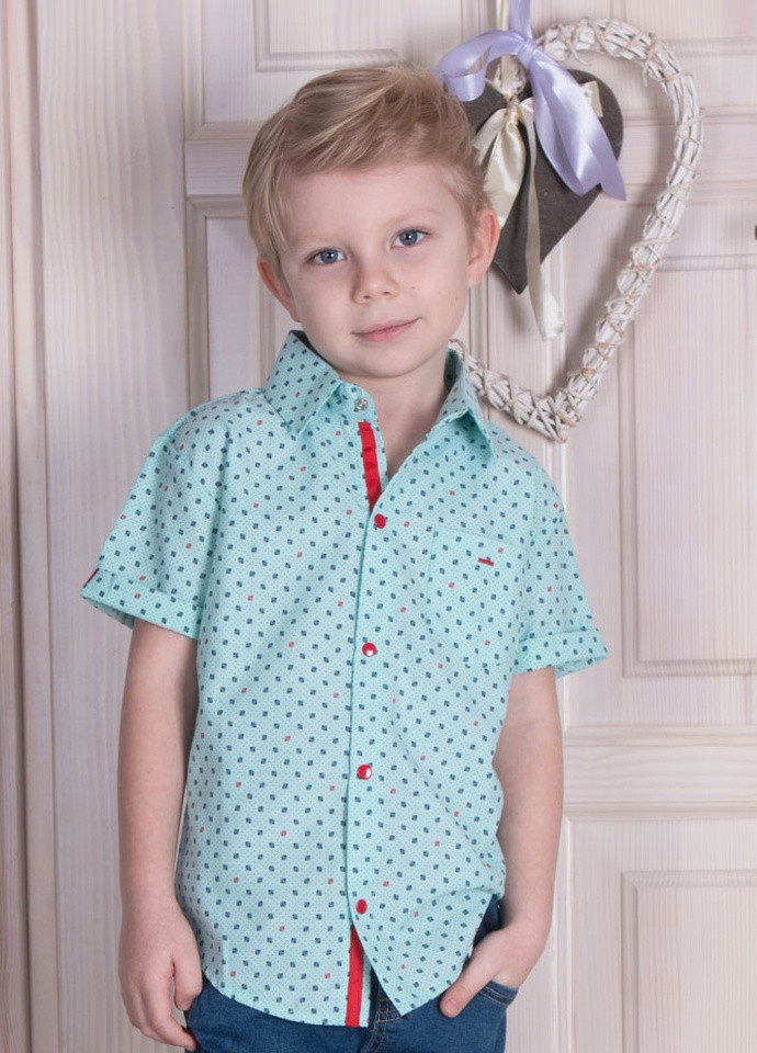 Дитяча сорочка для хлопчика Габби (224873623)