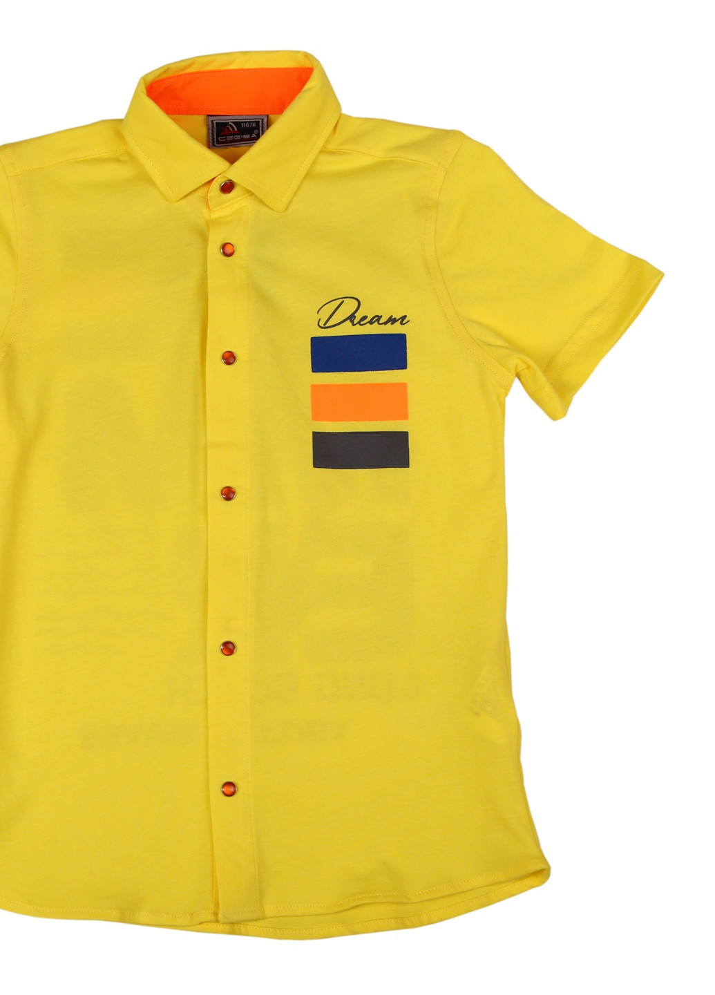 Желтая кэжуал рубашка Cegisa