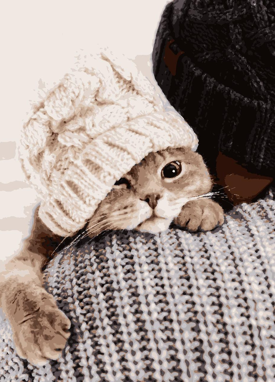 Картины по номерам "Друг" 40*50 см No Brand (254583844)