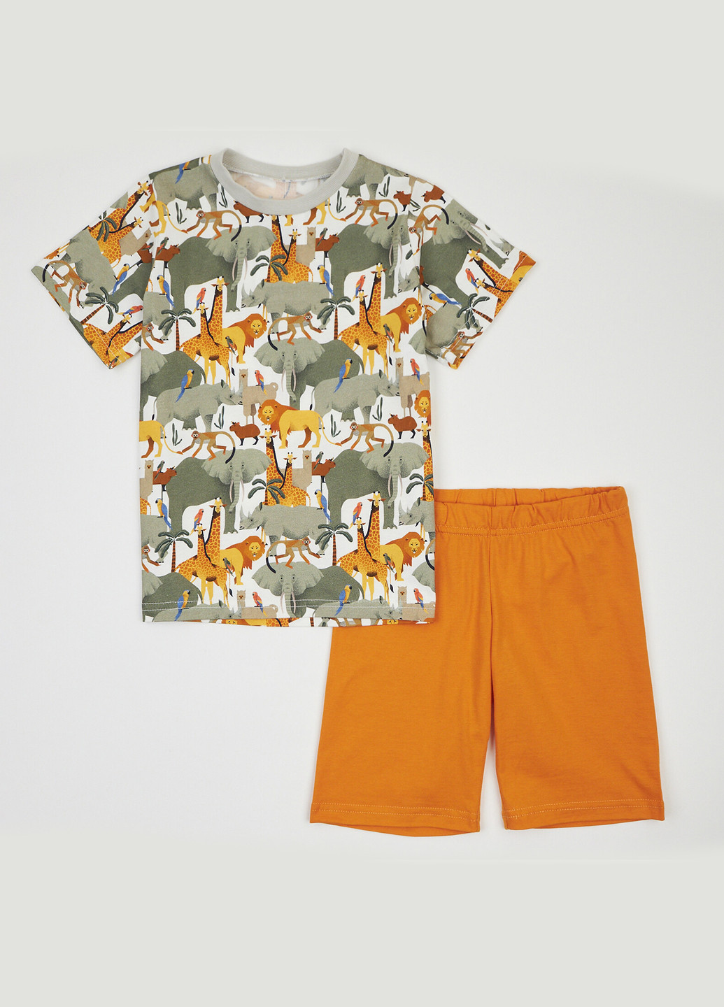 Комбинированный летний комплект (футболка, шорты) ArDoMi