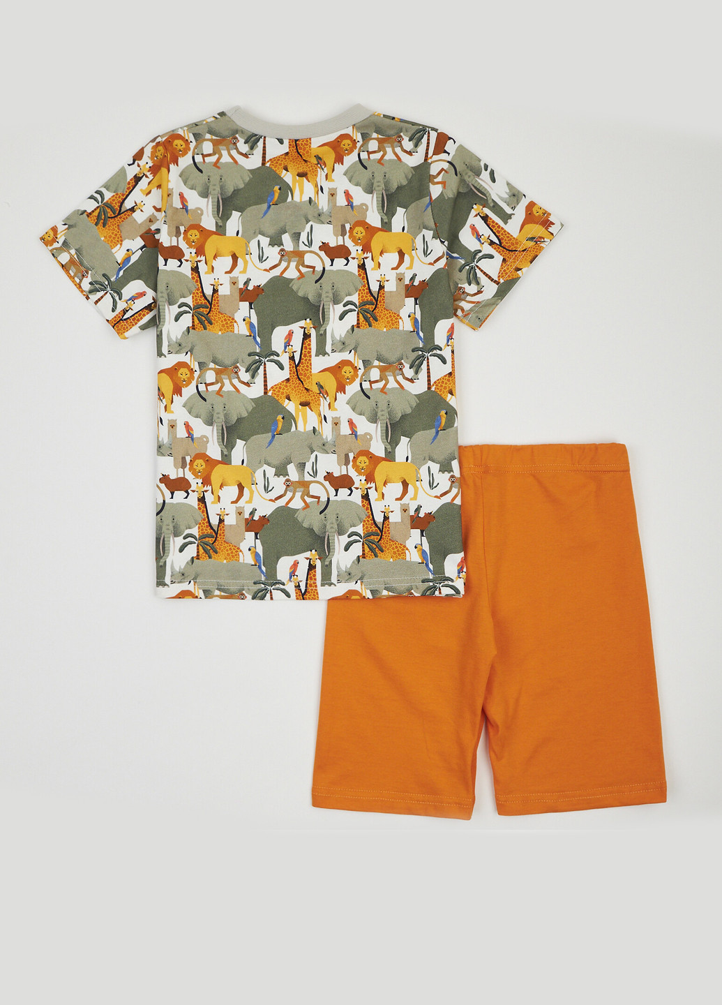 Комбинированный летний комплект (футболка, шорты) ArDoMi