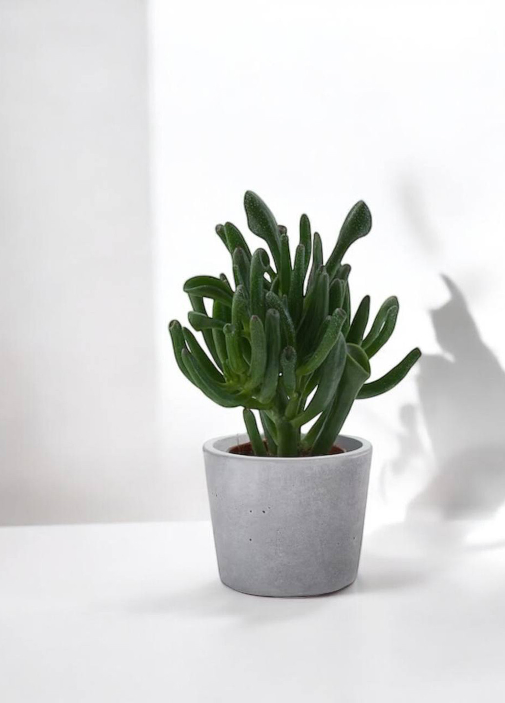 Кашпо, 6 см IKEA (293098004)