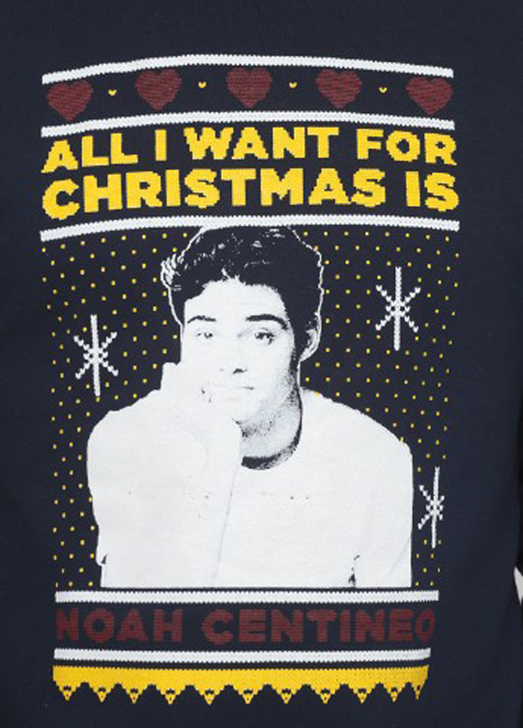 Темно-синій світшот Chempion малюнок без декору (361960186)