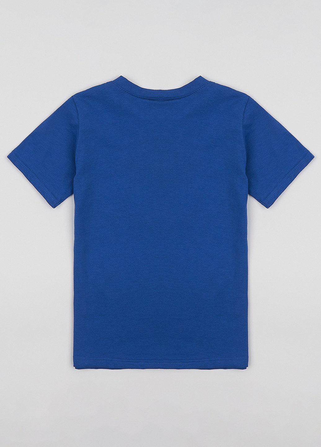 Синя літня футболка dexter's