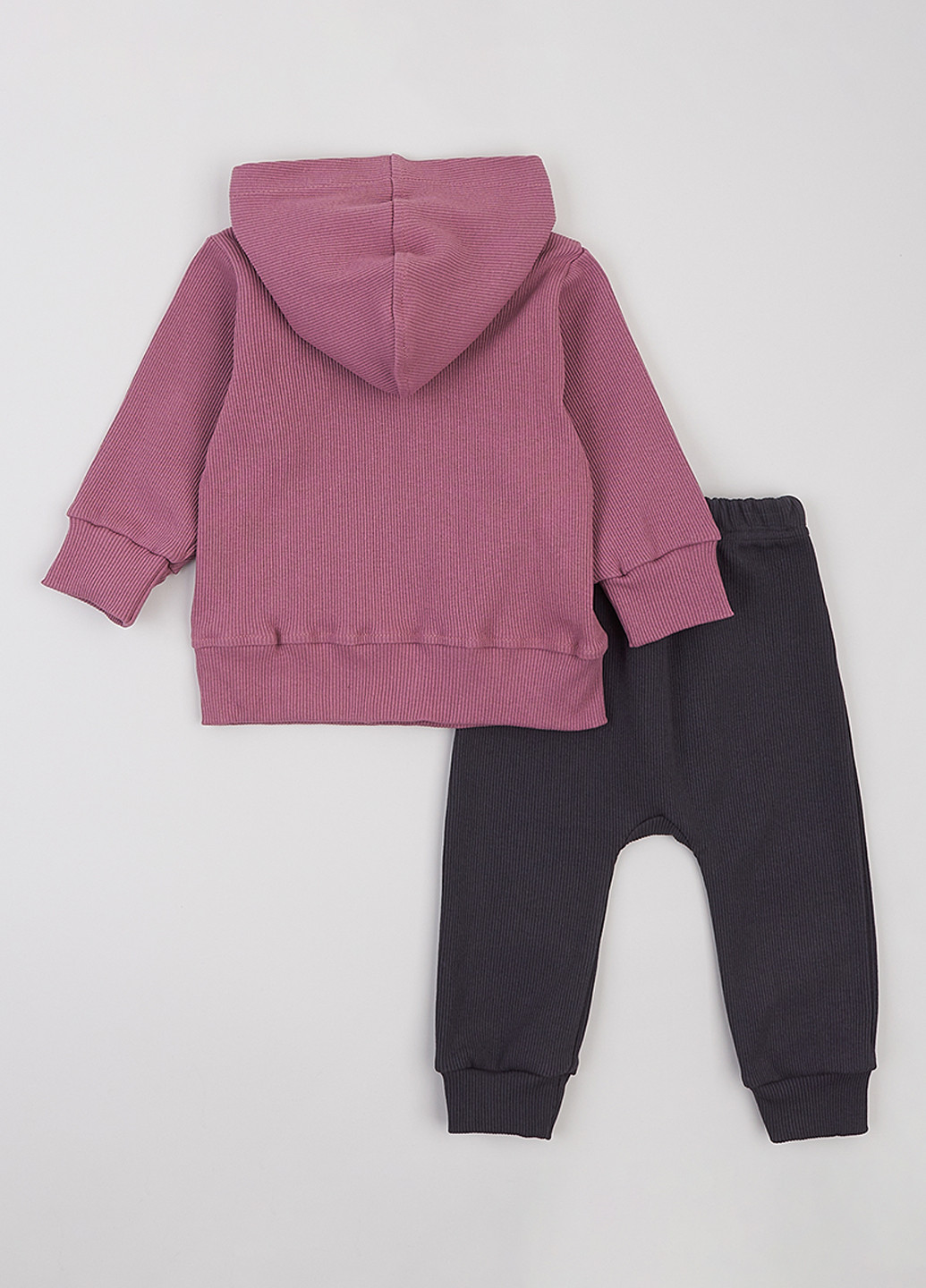 Костюм (толстовка, штани) Flamingo (361966594)