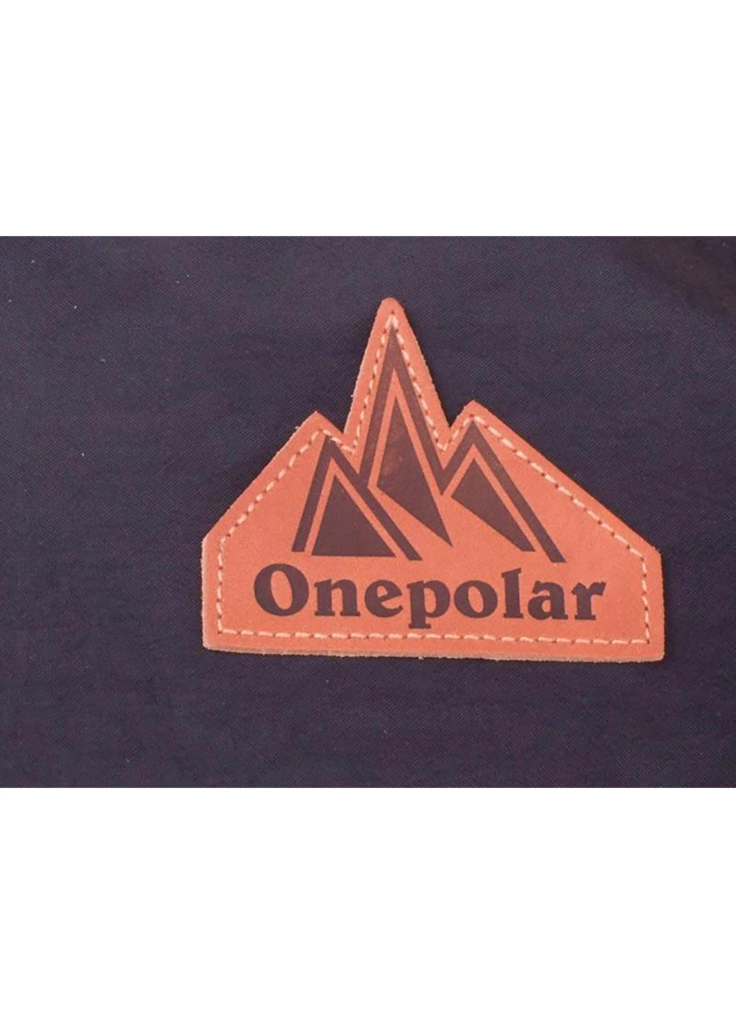 Чоловіча сумка спортивна 35х29х10 см Onepolar (253027565)