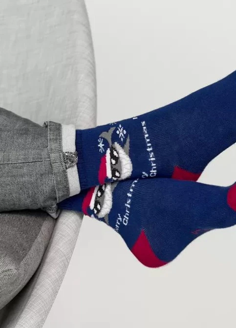 Сині шкарпетки V&T Socks (251966146)
