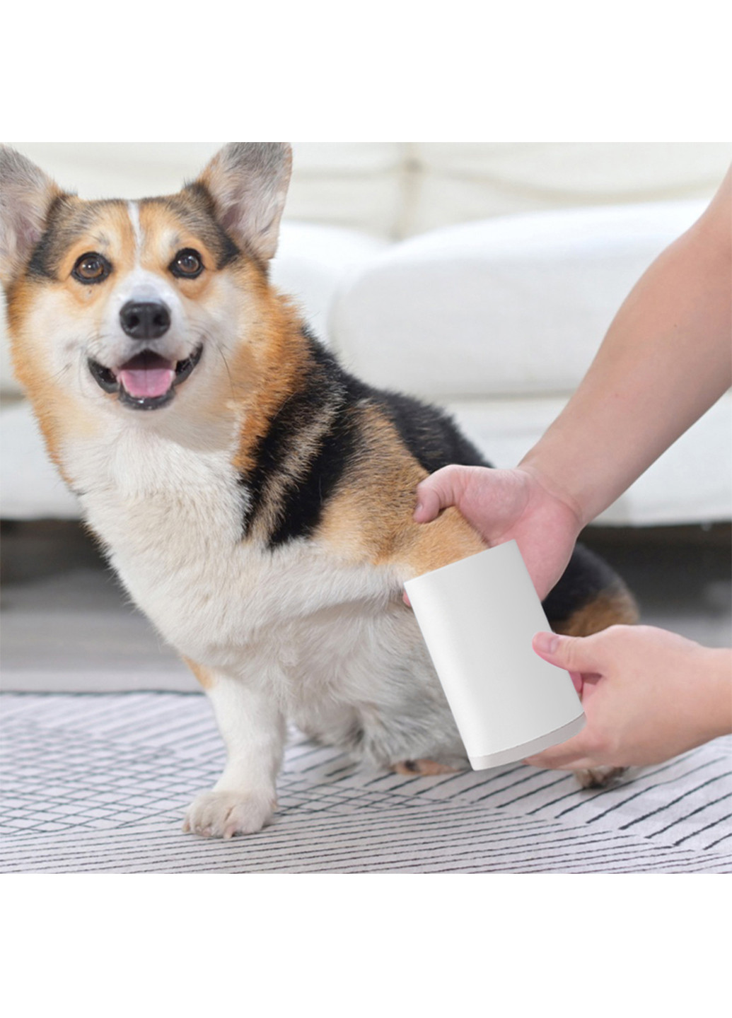 Лапомойка для собак, ємність для миття лап домашніх тварин S (9x13 см) Carno (205393559)