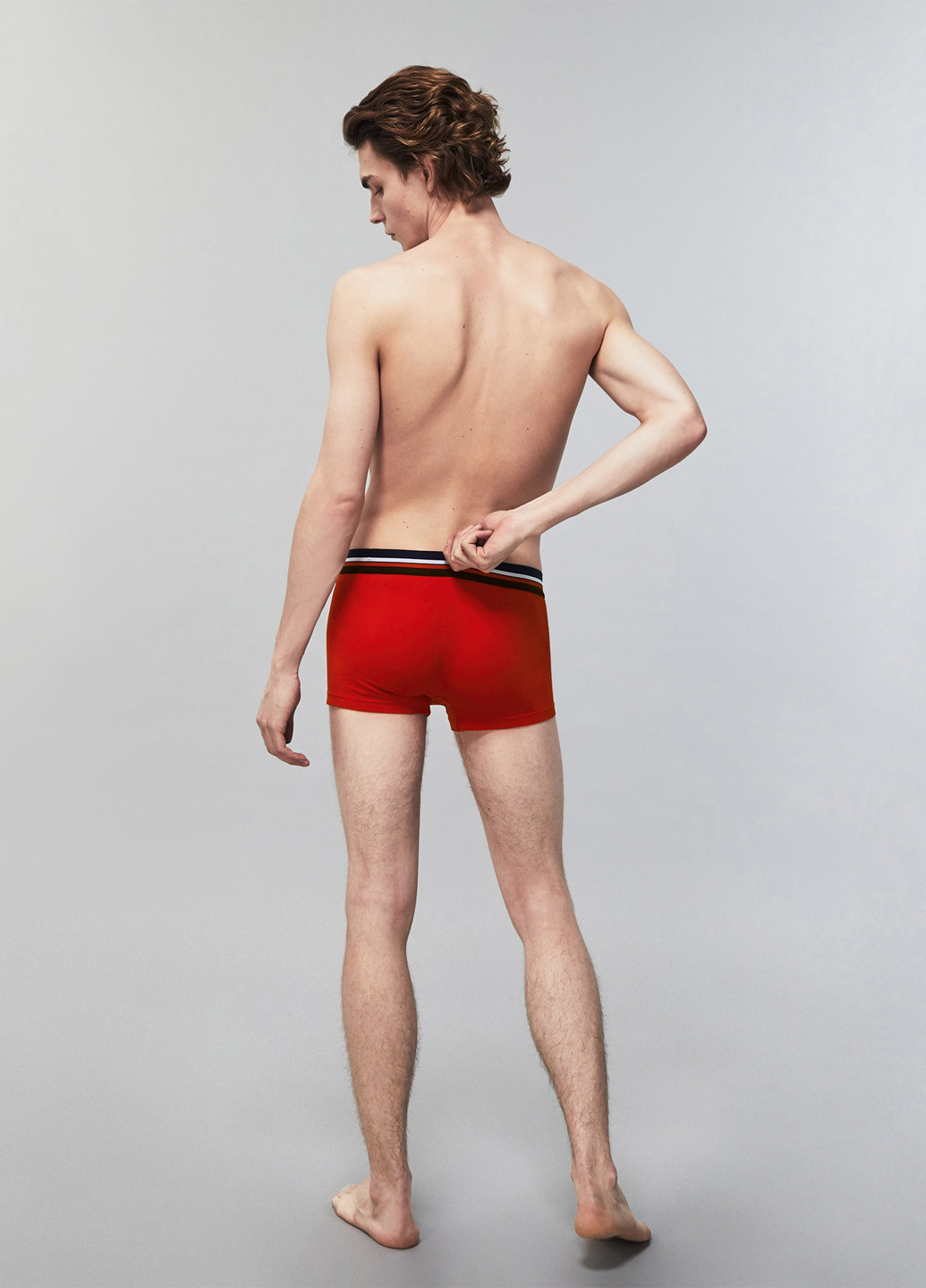 Трусы (3 шт.) Lacoste (329059656)