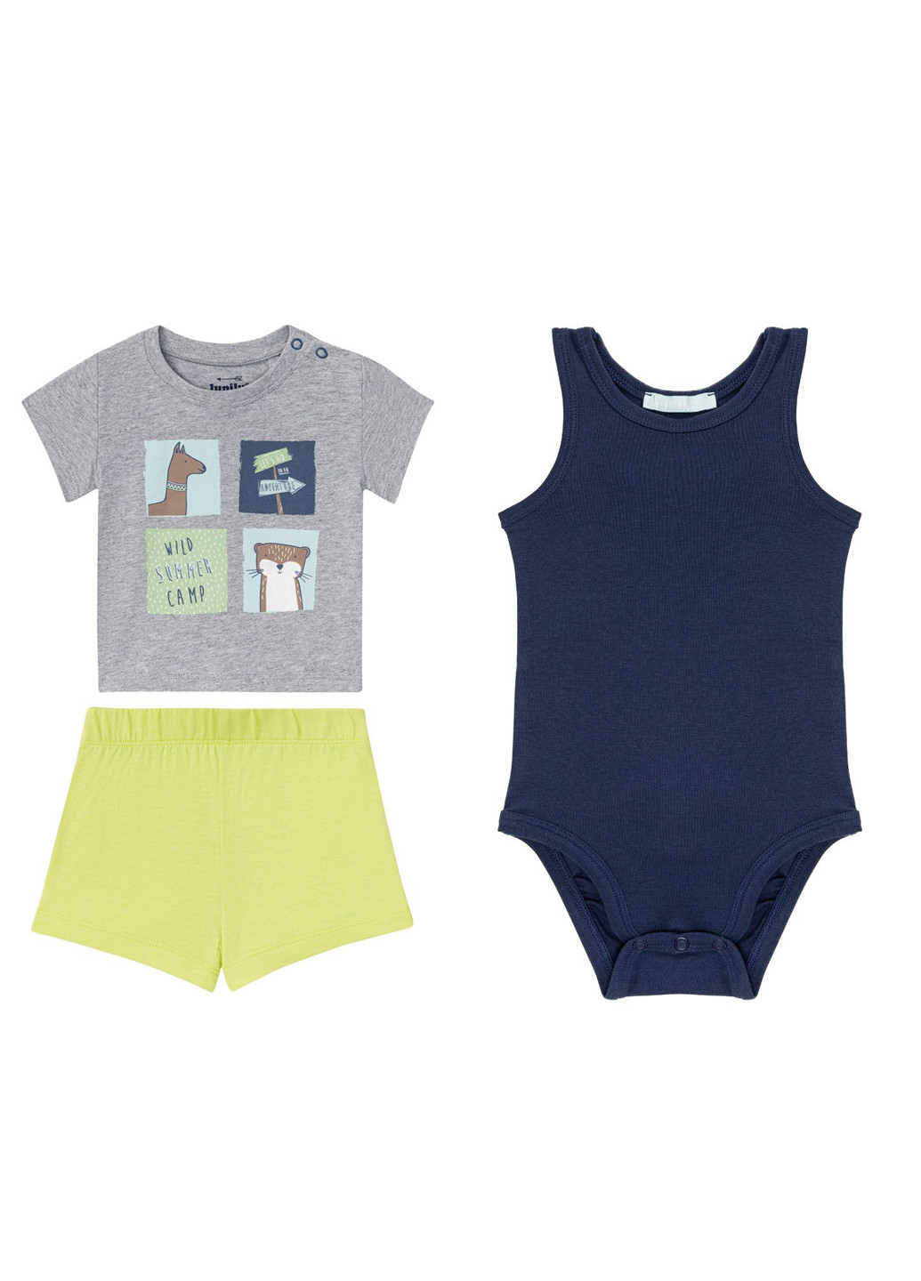 Сірий комплект ( футболка, шорты, боди) Lupilu