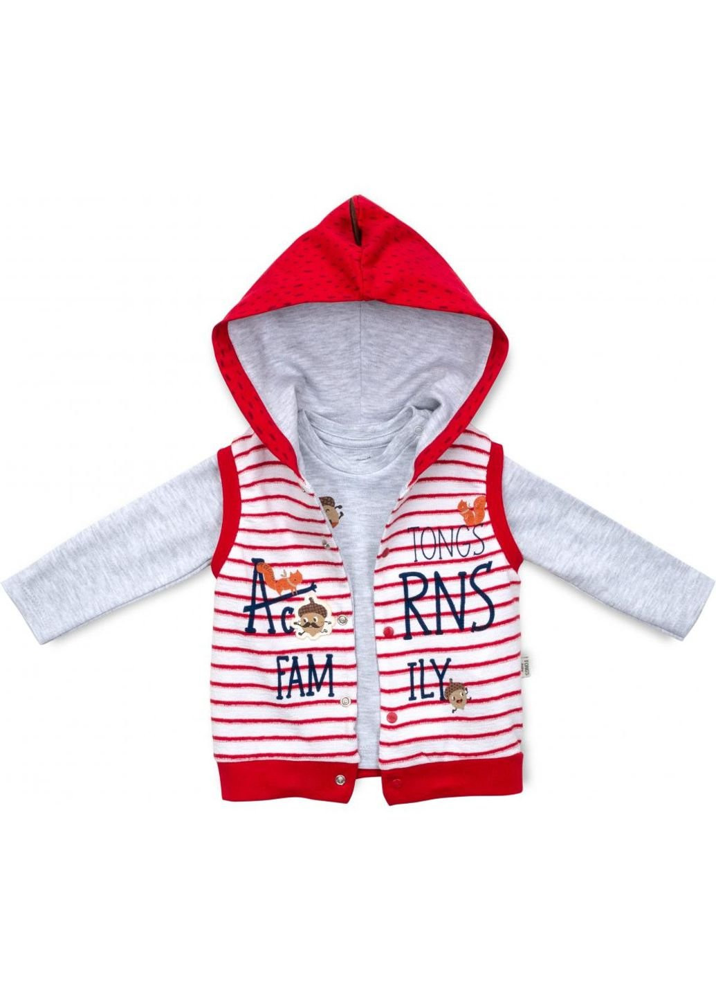 Світло-сірий демісезонний набір дитячого одягу з жилетом (2824-74b-red) Tongs