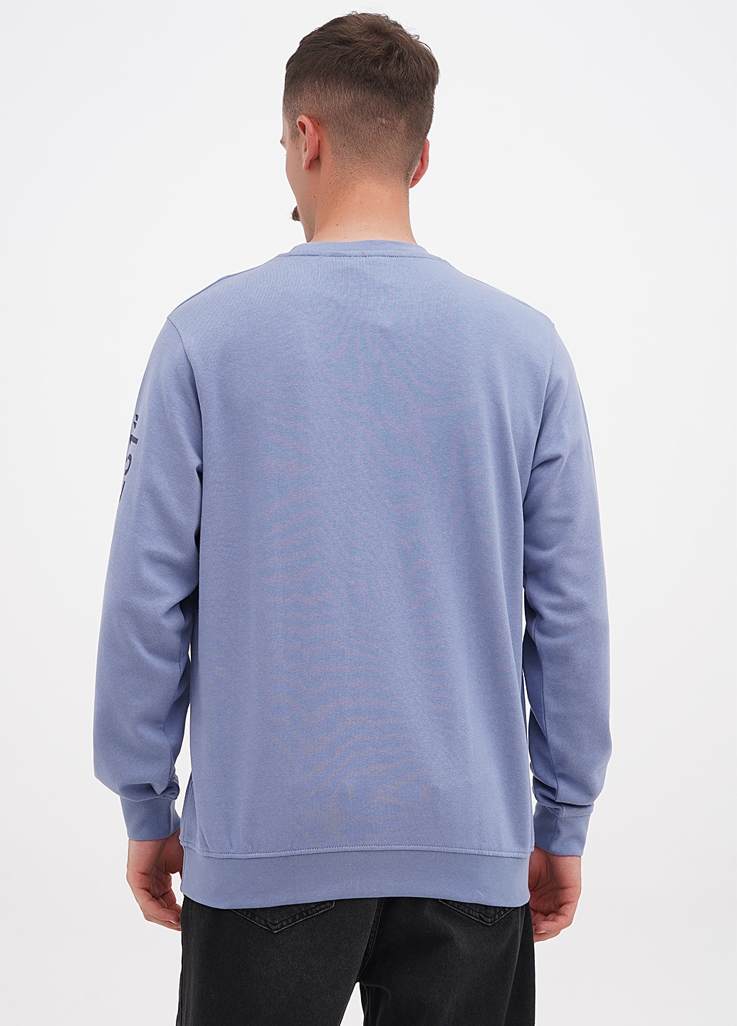 Чоловічий светр, світшот Livergy - Прямий крій напис блакитний кежуал бавовна - (259499485)