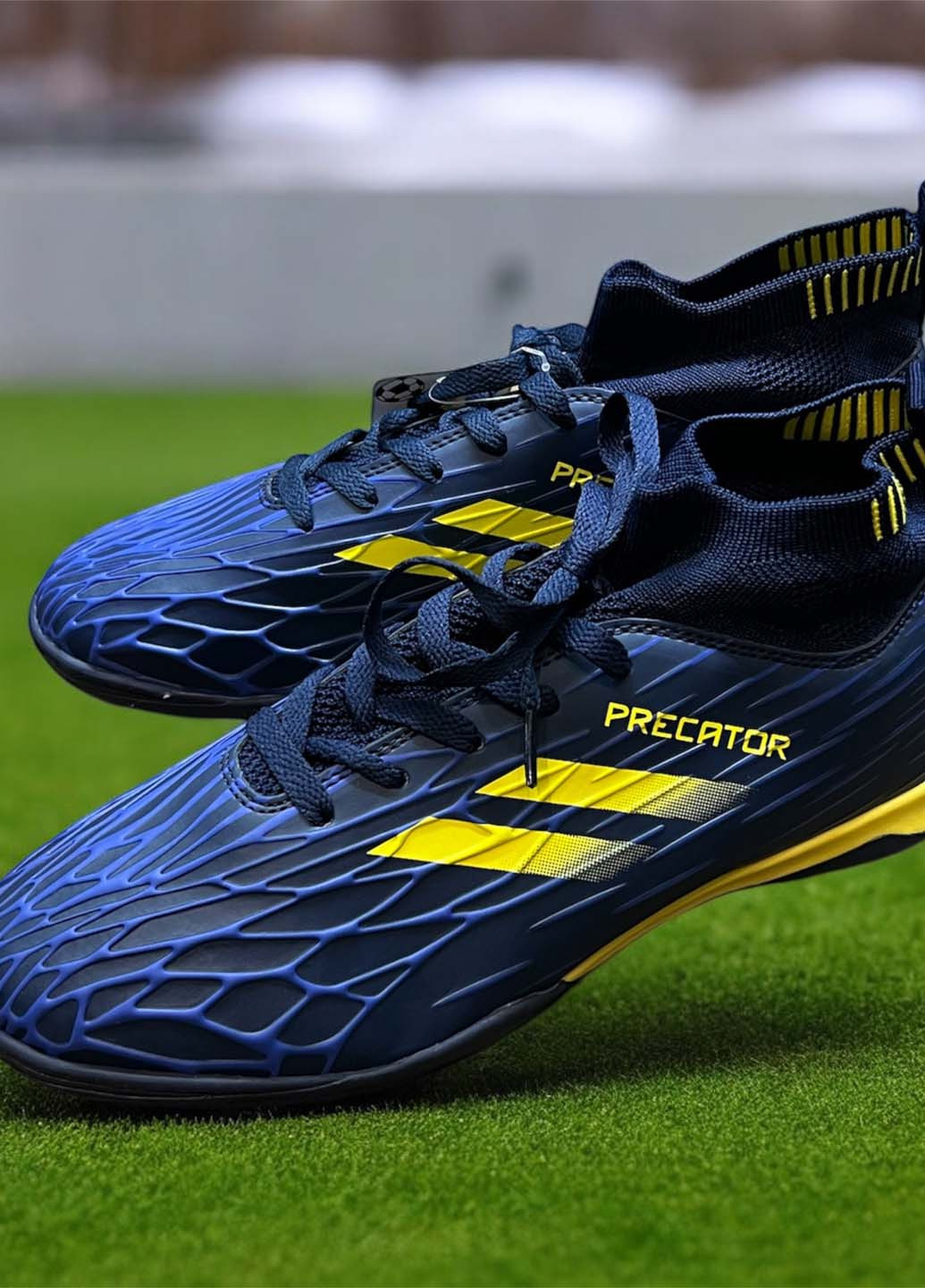 Сороконіжки Caroc (370386356)