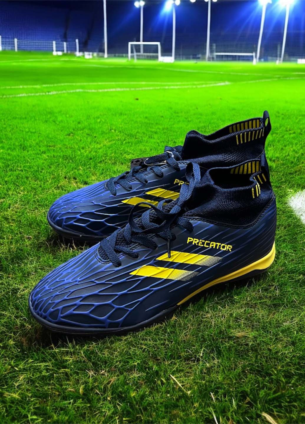 Сороконіжки Caroc (370386356)