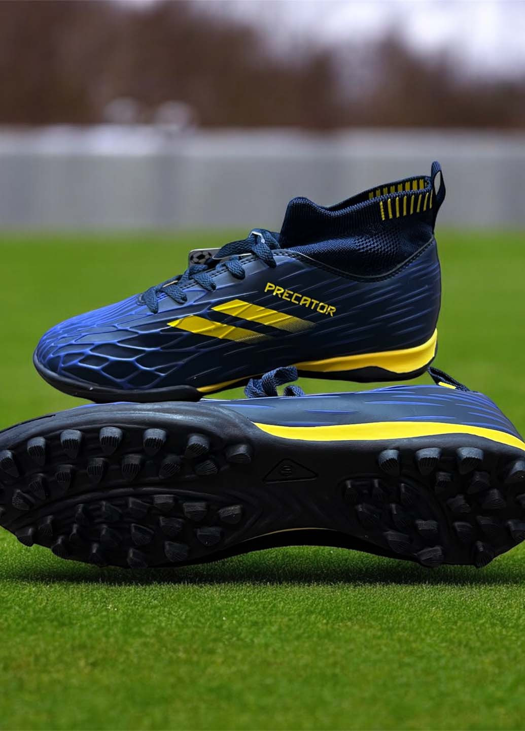 Сороконіжки Caroc (370386356)