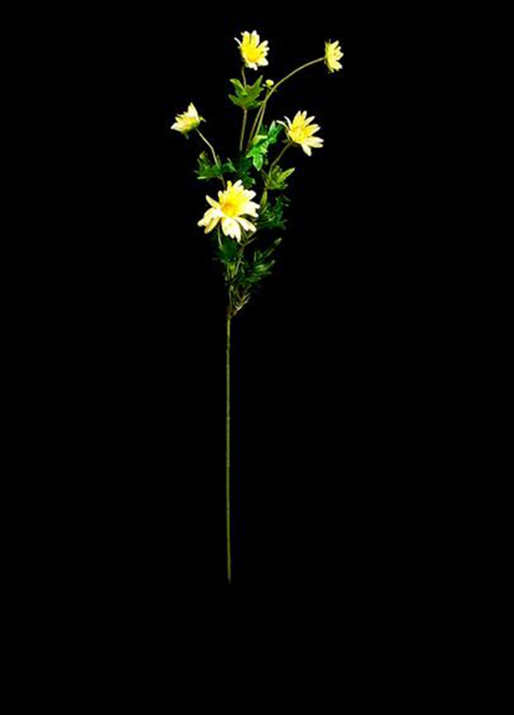 Квіти Seta Decor (45381216)