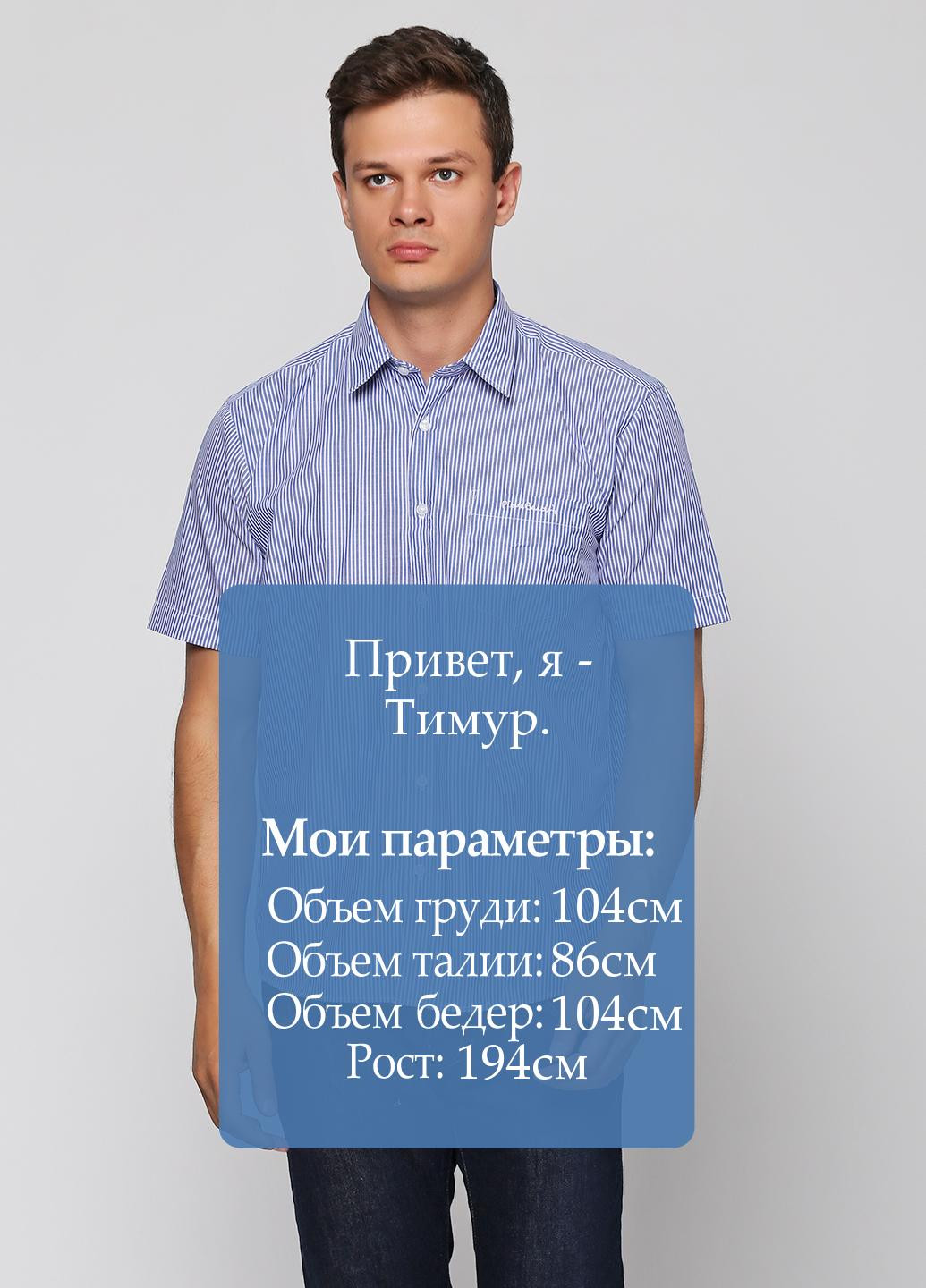 Голубой кэжуал рубашка в полоску Pierre Cardin с коротким рукавом