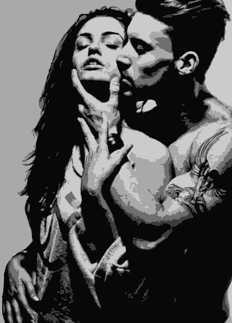 Картин по номерам "Страсть" 50*60 см No Brand (254583828)